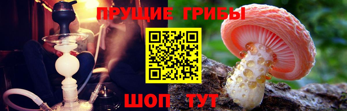 Псилоцибиновые грибы MAGIC MUSHROOMS Мурино